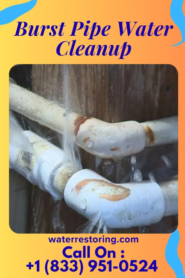Burst Pipe Water Cleanup in Salem, IN