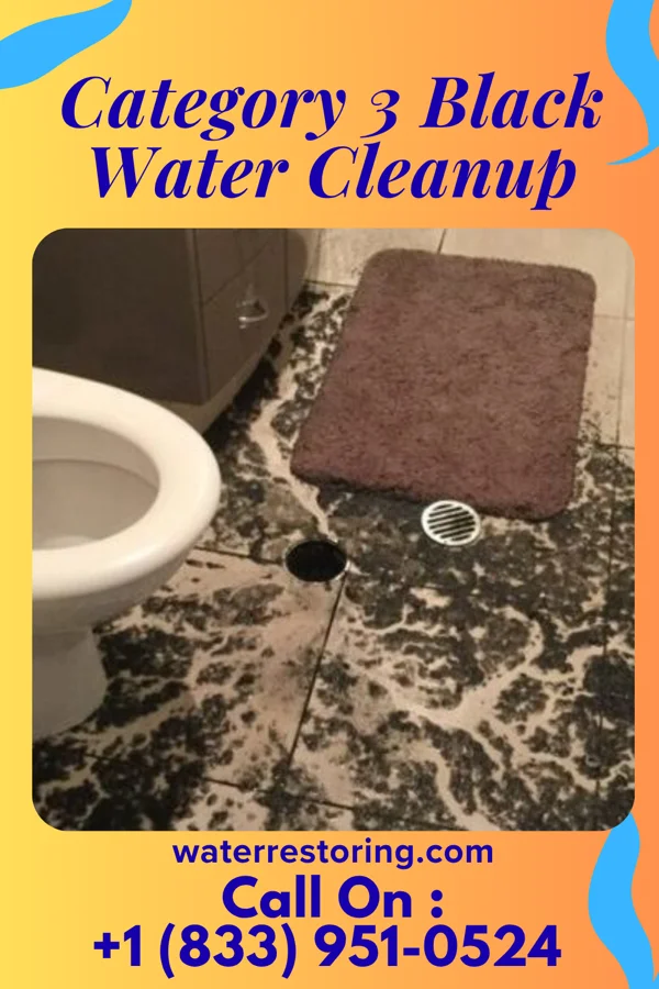 Category 3 Black Water Cleanup in Salem, IN