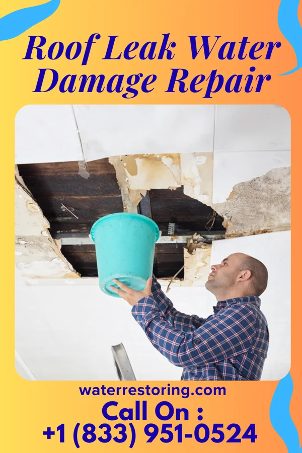 Roof Leak Water Damage Repair in Salem, IN