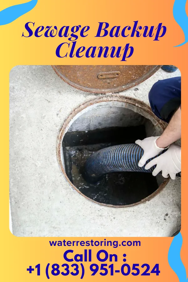Sewage Backup Cleanup in Salem, IN